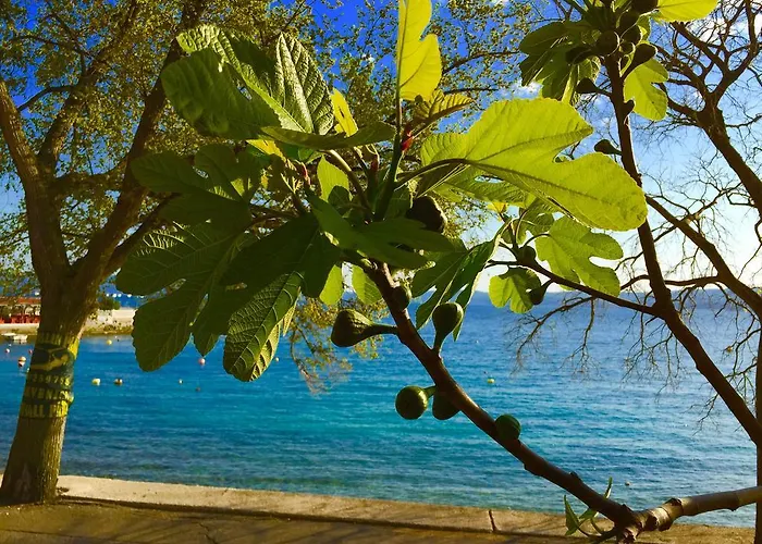 Selce 4 U Apartman Crikvenica